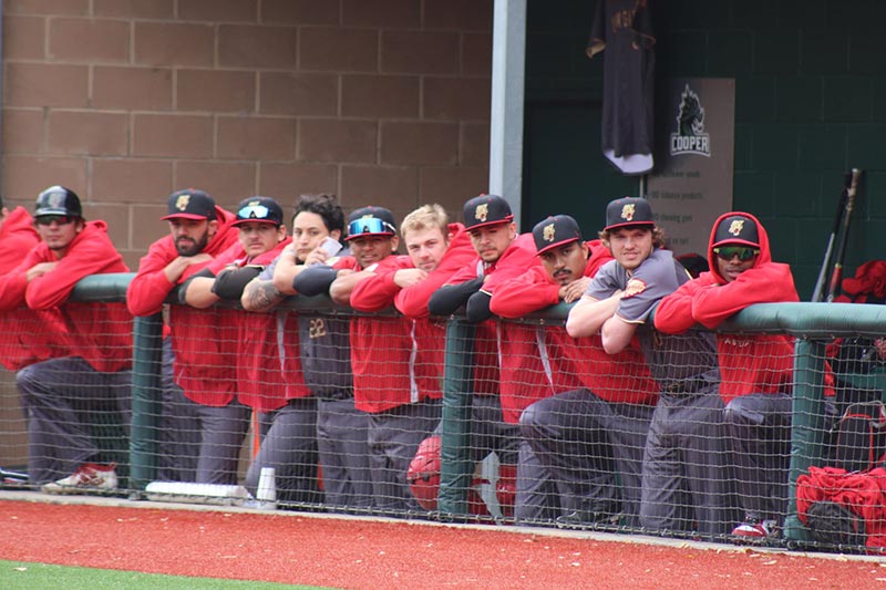 University Of Houston Baseball Camp 2024